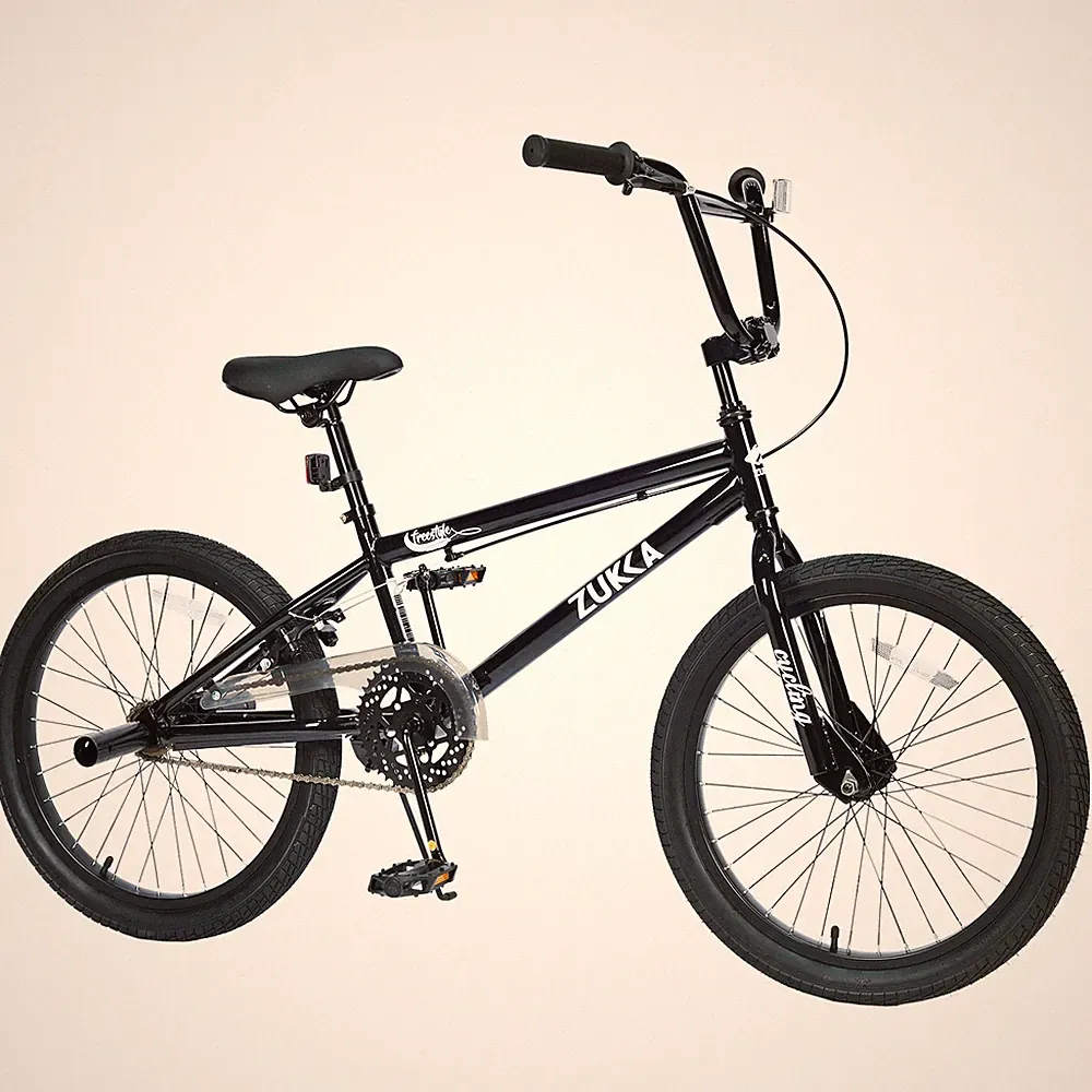 20-Inch Freestyle Mountain Bike, Single Speed with Rear Caliper Brake - Black