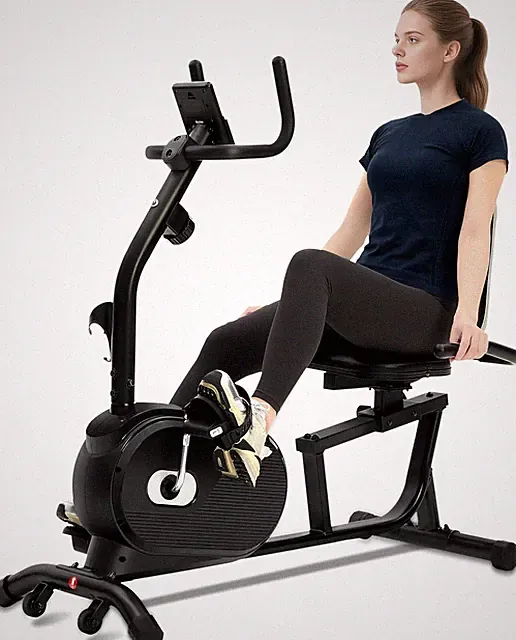 ECHANFIT Recumbent Exercise Bike for Home - 380LBS Weight Capacity, Exercise Bik