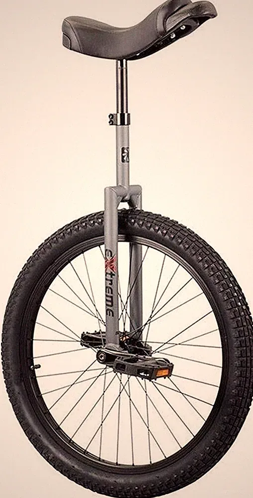 UNICYCLE Flat Top Extreme DX Matte Gray 20 Inch SUN BICYCLES